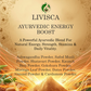 Ayurvedic Energy Boost Powder Mix
