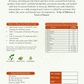 Uric Acid Balance Green Tea