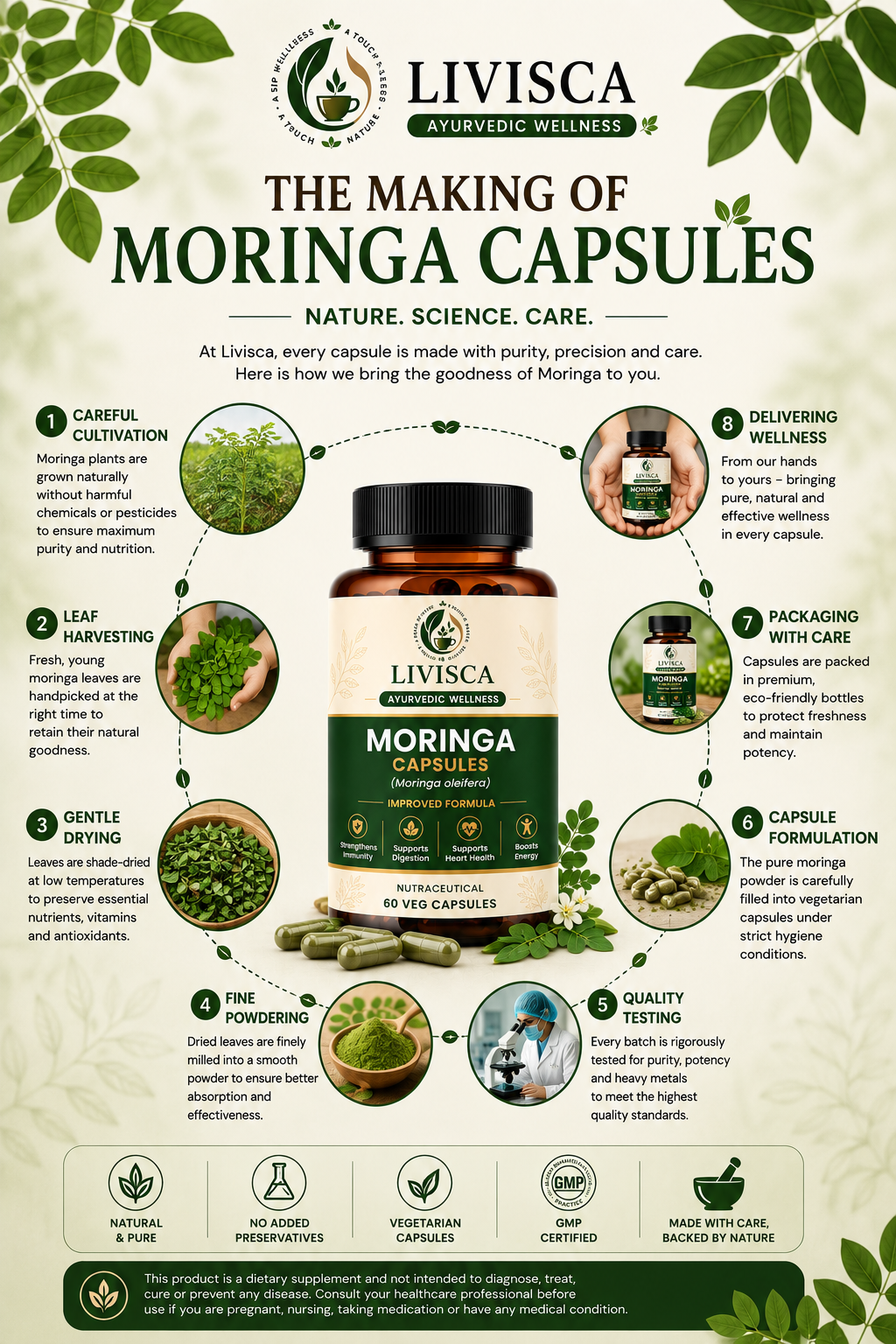Moringa Capsules – Natural Superfood for Immunity & Energy | 60 Veg Capsules